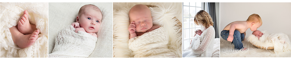 newborn photography in connecticut and western mass