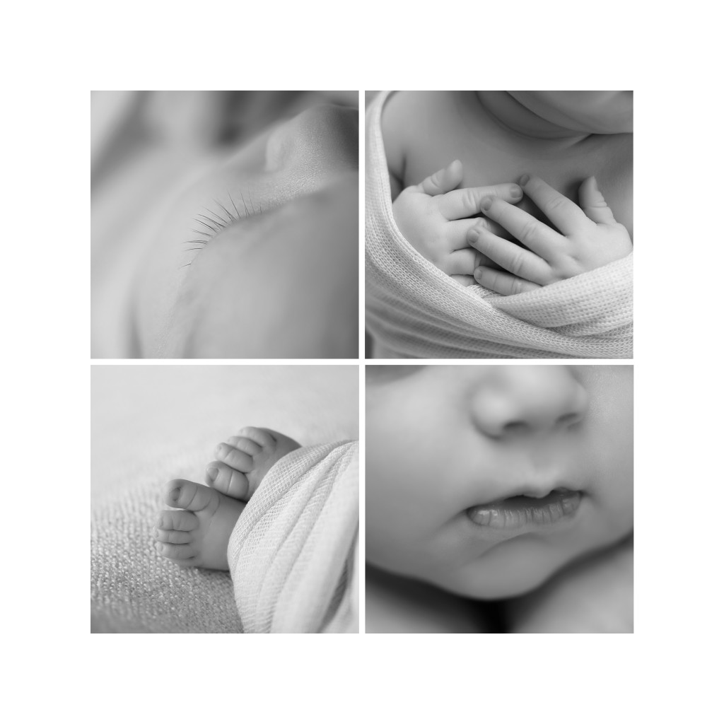 newborn baby photography studio in Farmington ct. Kelli Dease photographer.
