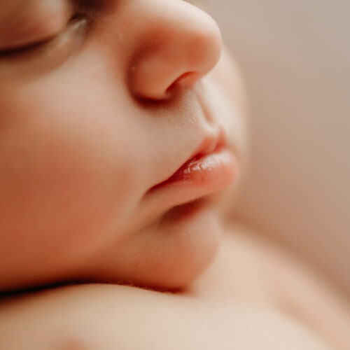 Simple and classic newborn photos | Connecticut's best newborn photographers | Farmington, CT Newborn Photographers | CT Portrait Studio |www.kellidease.com