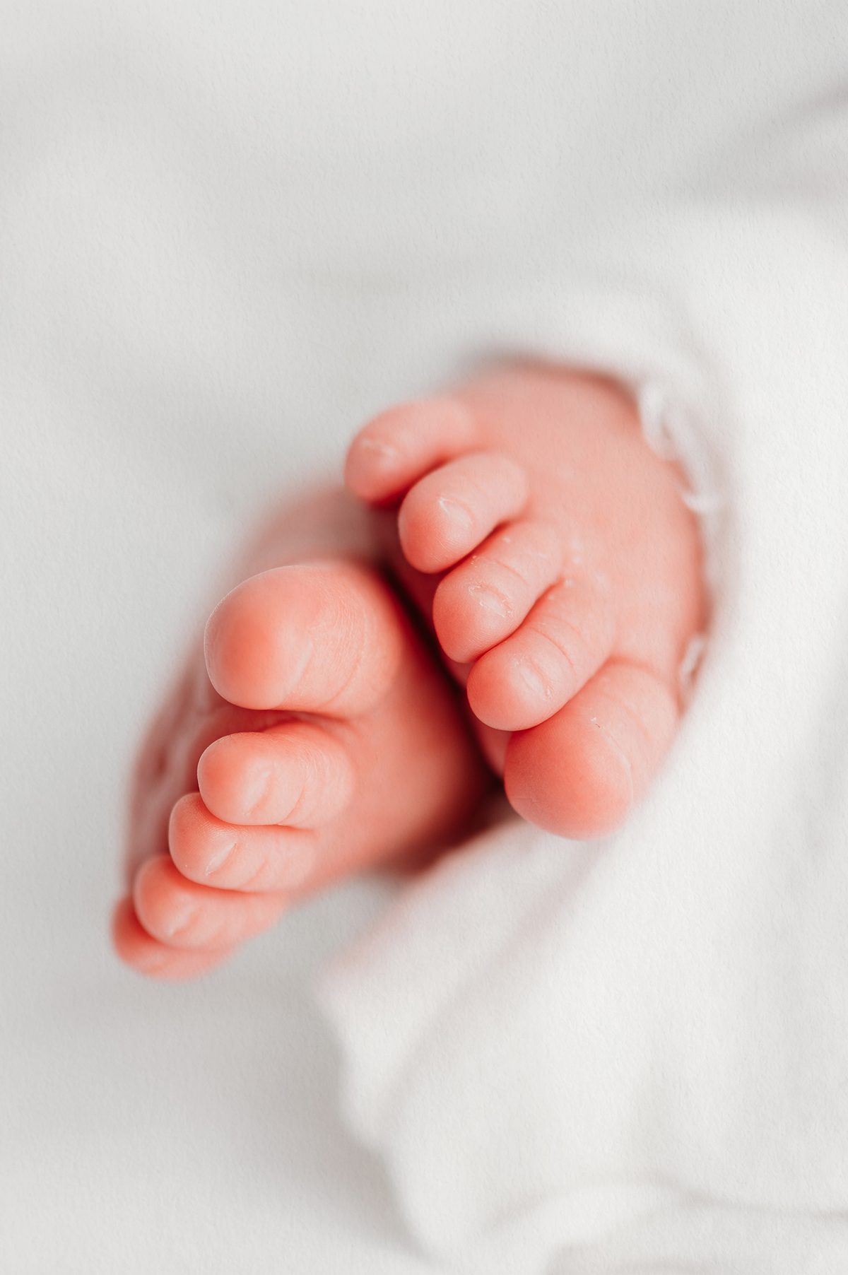 Close-up newborn photograph of tiny baby feet resting against a soft white background during a minimalist studio newborn session.