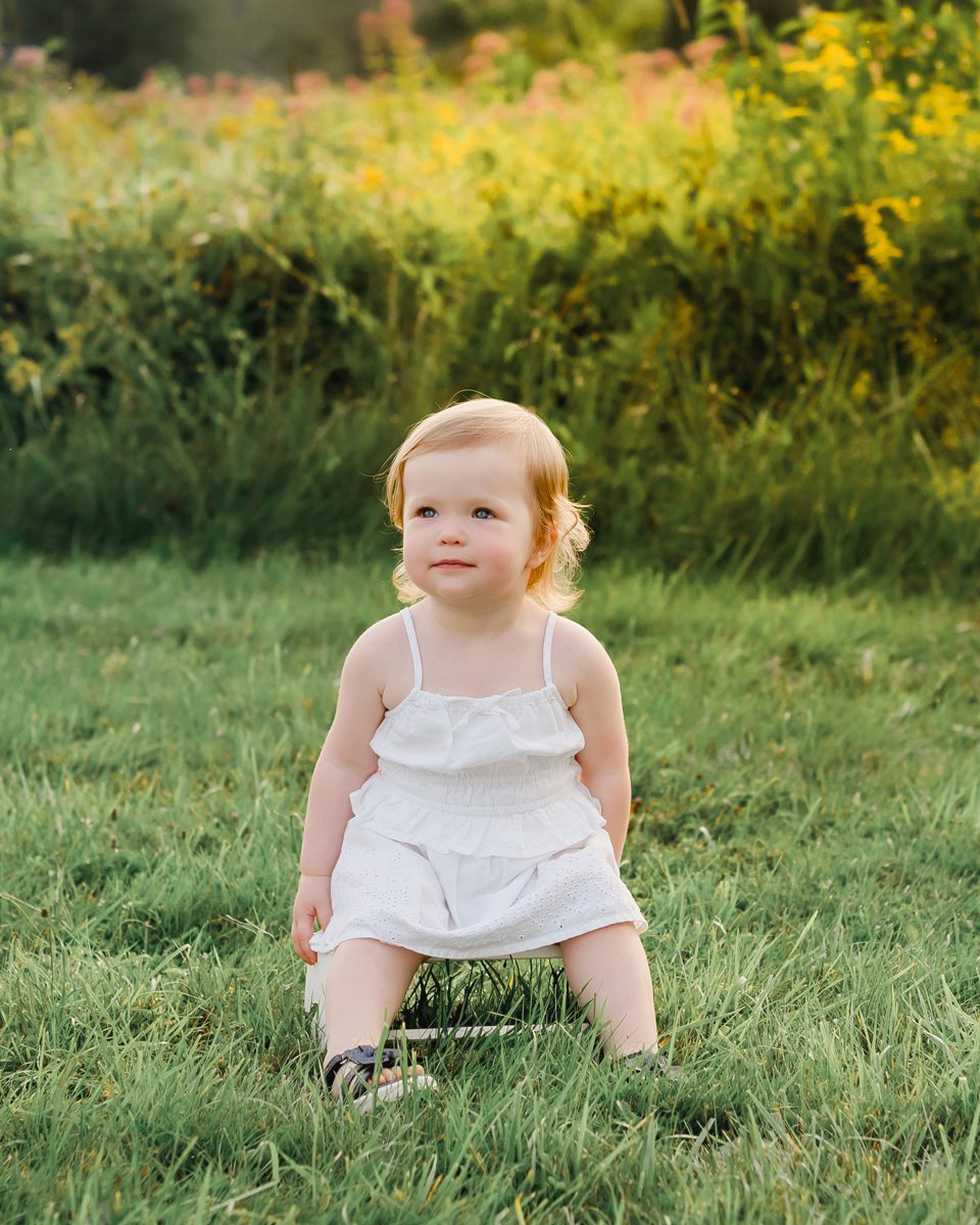 Toddler girl in a white dress sitting in a sunlit grassy field during an outdoor session in West Simsbury, CT, with Kelli Dease Photography.