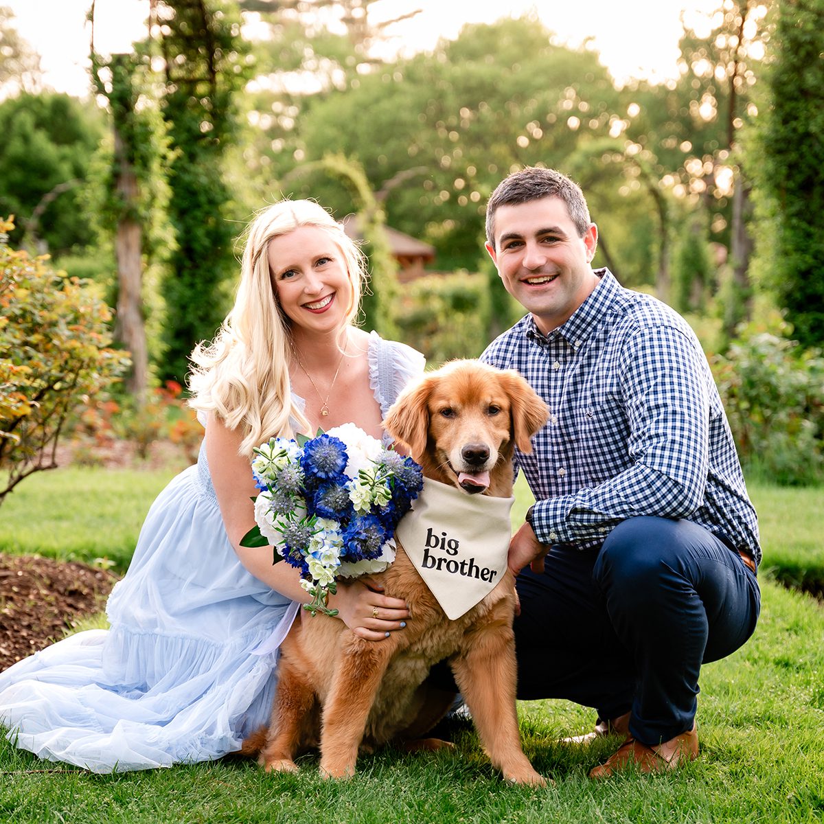 West Hartford CT Outdoor Maternity Photography 01 Expectant couple kneeling in a summer rose garden with their golden retriever wearing a "big brother" bib, mom in a light blue dress, near West Hartford, CT